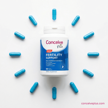 Conceive Plus Men's Fertility Support Capsules — science-backed fertility supplements for Indian couples