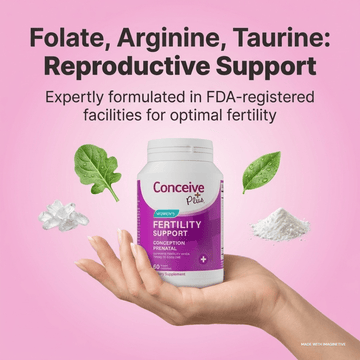 Age and Fertility: Understanding the Biological Clock and Your Conception Options - Conceive Plus® India