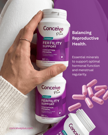 Fertility Diet and Nutrition — Foods That Support Your Journey to Conception - Conceive Plus® India