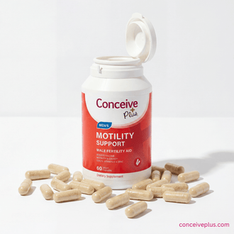 Fertility Diet India: The Best Foods and Nutrients to Boost Conception Naturally - Conceive Plus® India