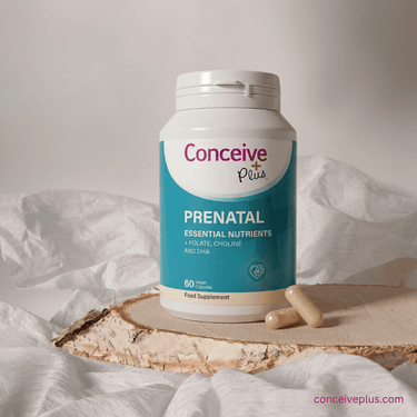 IVF Preparation: The Complete Step-by-Step Guide to Getting Ready for IVF Treatment in 2026 - Conceive Plus® India
