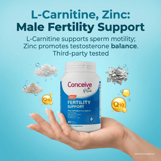 Male Fertility and Lifestyle: How Everyday Habits Shape Sperm Health