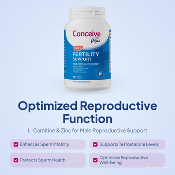 Male Fertility and Sperm Health: A Complete Guide for Indian Couples Trying to Conceive - Conceive Plus® India