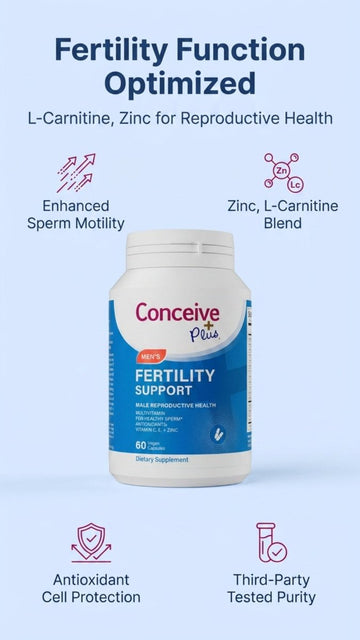 Male Fertility: The Complete Science-Based Guide to Sperm Health and Optimisation for Conception Success - Conceive Plus® India