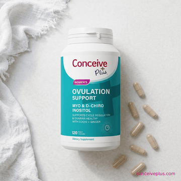 Ovulation Tracking: Your Complete Guide to Identifying Your Fertile Window in India - Conceive Plus® India