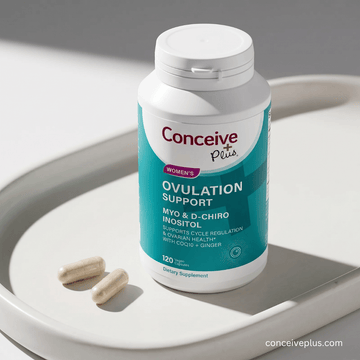 Stress, Sleep, and Exercise: How Lifestyle Shapes Your Fertility - Conceive Plus® India