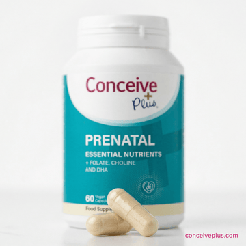 The Complete IVF Preparation Guide: How to Optimise Your Mind, Body, and Lifestyle Before Starting Treatment - Conceive Plus® India