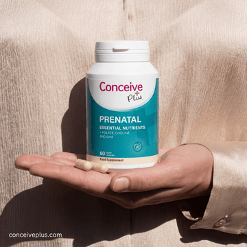 The Two-Week Wait: What's Really Happening in Your Body and How to Stay Grounded - Conceive Plus® India