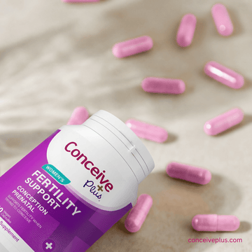 Timing Intercourse for Conception: Your Complete Guide to Maximising Your Fertile Window - Conceive Plus® India