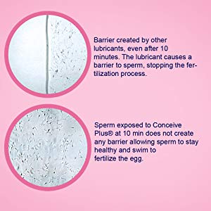 Max Combo | Fertility Lubricant Bundle