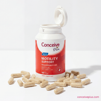 Bottle of Conceive Plus Men's Motility Support with capsules on a white background