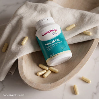 Conceive Plus Prenatal with DHA - Prenatal Vitamins with DHA - Pregnancy Supplements - Female Fertility Vitamins - Conceive Plus® India